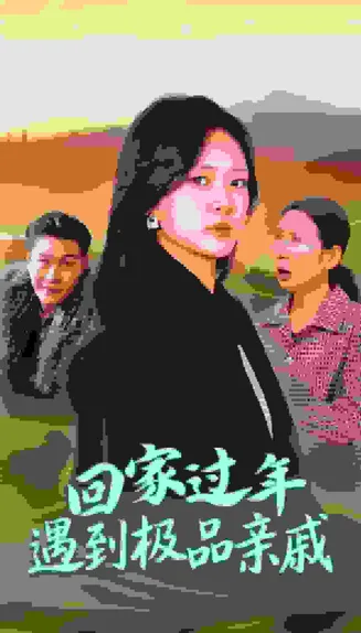 回家过年遇到极品亲戚在线观看