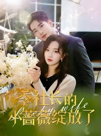 季社长的小蔷薇绽放了在线观看