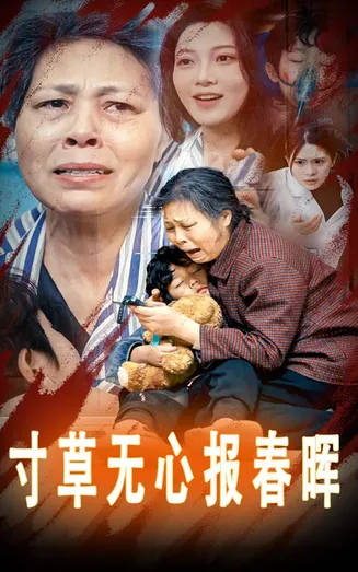 寸草无心报春晖在线观看