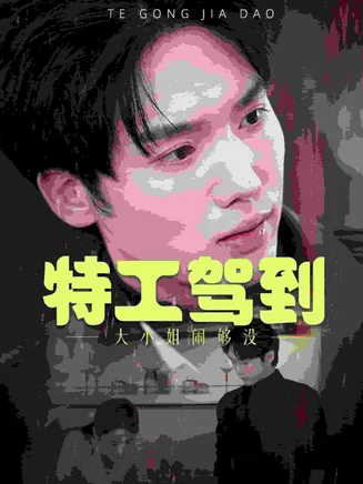 特工驾到大小姐别闹了在线观看