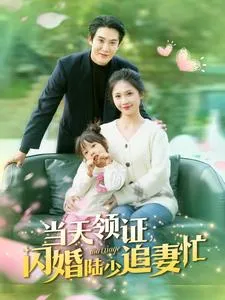 当天领证闪婚陆少追妻忙在线观看