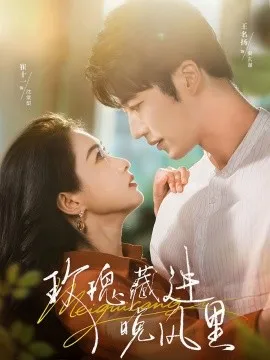玫瑰藏进晚风里在线观看