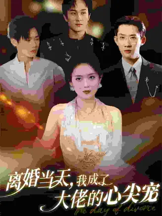 离婚当天我成了大佬的心尖宠在线观看