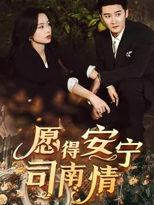 愿得安宁司南情在线观看