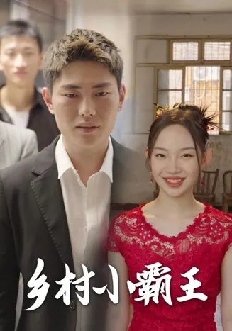 乡村小霸王在线观看