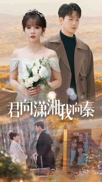 君向潇湘我向秦在线观看