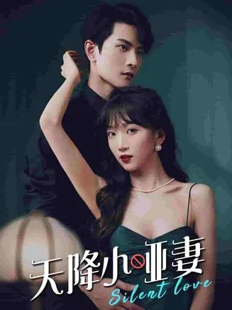 天降小哑妻在线观看