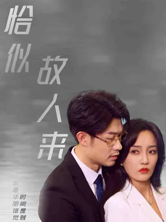 恰似故人来在线观看