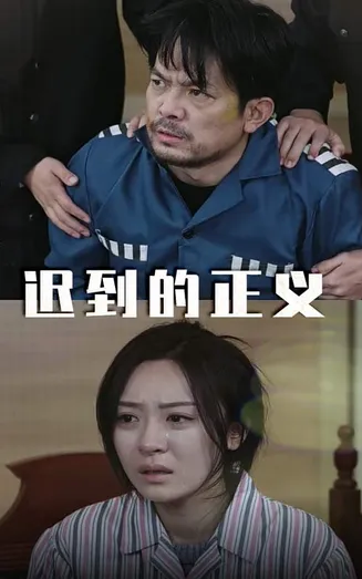 迟到的正义在线观看