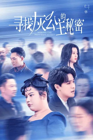 寻找灰公主的秘密在线观看