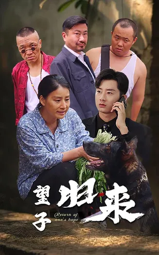 望子归来在线观看