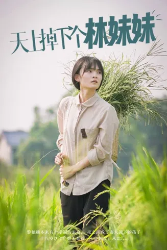 天上掉下个林妹妹在线观看