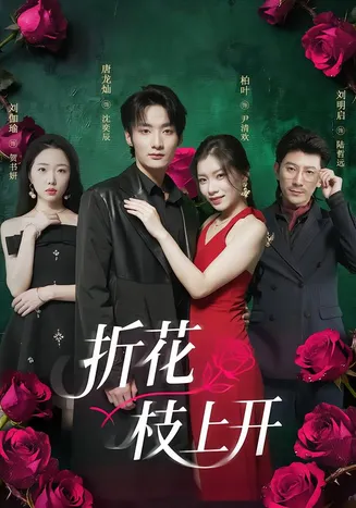折花枝上开在线观看