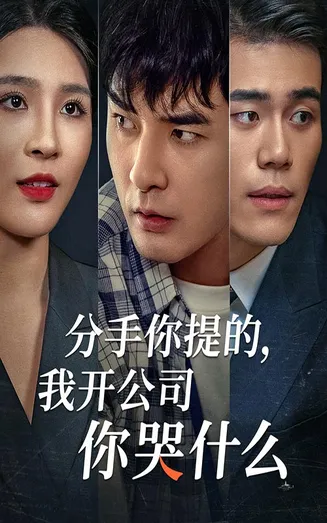 分手你提的，我开公司你哭什么在线观看
