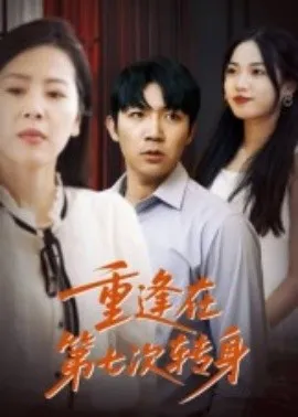 重逢在第七次转身在线观看