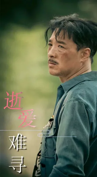 逝爱难寻在线观看