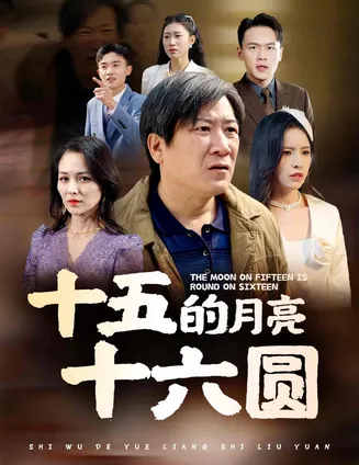 十五的月亮十六圆在线观看