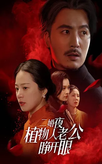 二婚夜植物人老公睁开眼在线观看