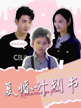 复婚计划书在线观看