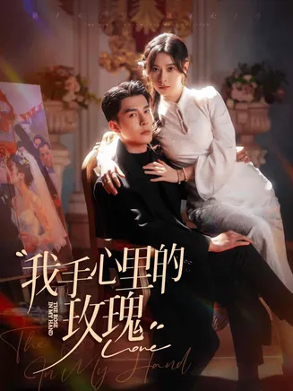 我手心里的玫瑰在线观看