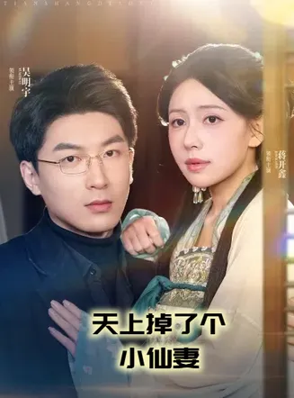 天上掉了个小仙妻在线观看