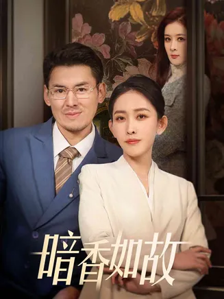 暗香如故在线观看