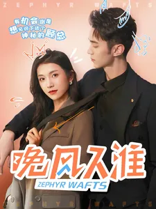 晚风入淮在线观看