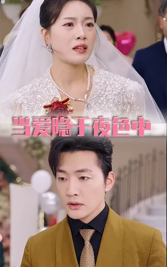 当爱隐于夜色中在线观看