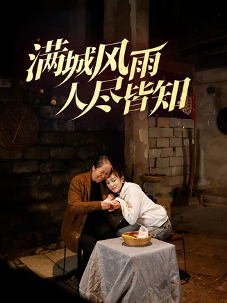 满城风雨人尽皆知在线观看