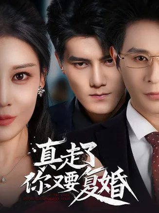 真走了你又要复婚在线观看