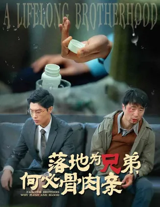 落地为兄弟，何必骨肉亲在线观看