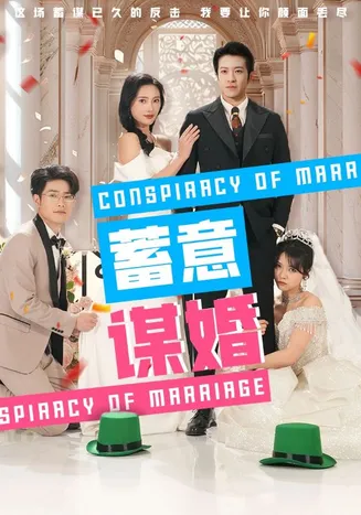 蓄意谋婚在线观看