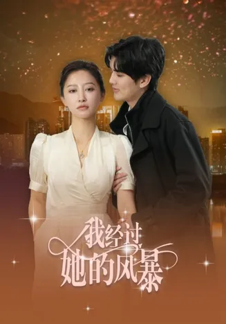 我经过她的风暴在线观看