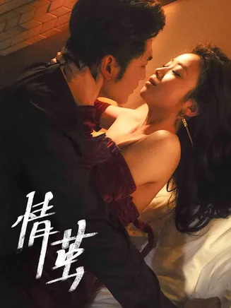 情茧在线观看