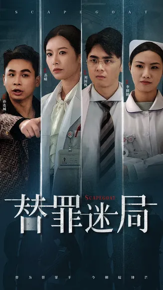 替罪迷局在线观看
