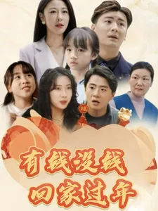 有钱没钱回家过年在线观看