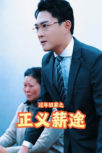 过年回家之正义薪途在线观看