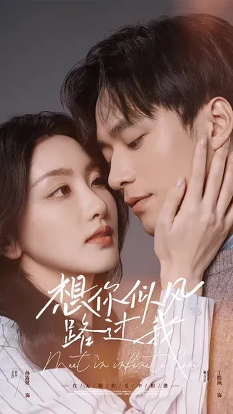想你似风路过我在线观看
