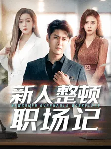新人整顿职场记在线观看