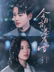 今日离港有雪在线观看
