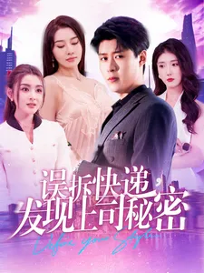 误拆快递，发现上司秘密在线观看