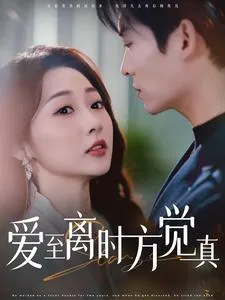 爱至离时方觉真在线观看