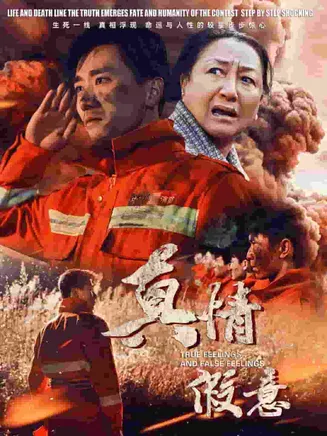 真情假意在线观看