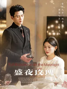 盛夜玫瑰在线观看