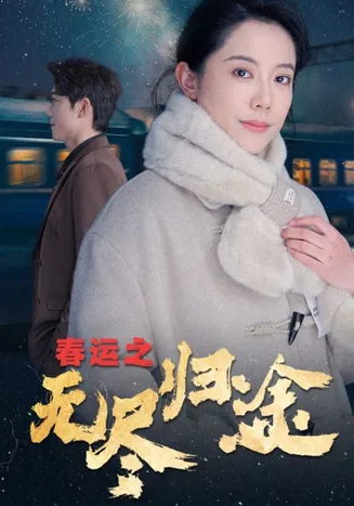 春运之无尽归途在线观看