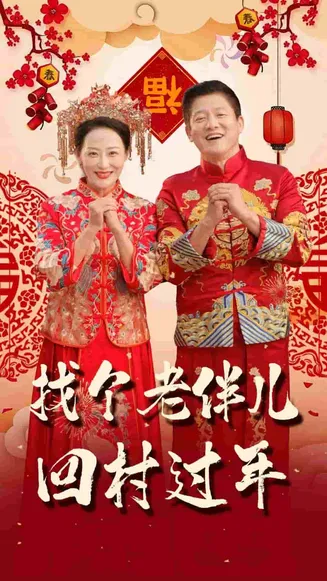 找个老伴儿回村过年在线观看