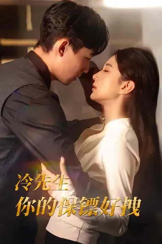 冷先生你的保镖好拽在线观看