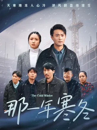 那一年寒冬在线观看