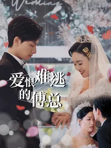 爱恨难逃的傅总在线观看