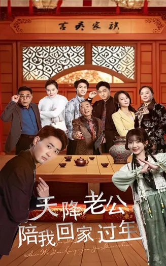 天降老公陪我回家过年在线观看